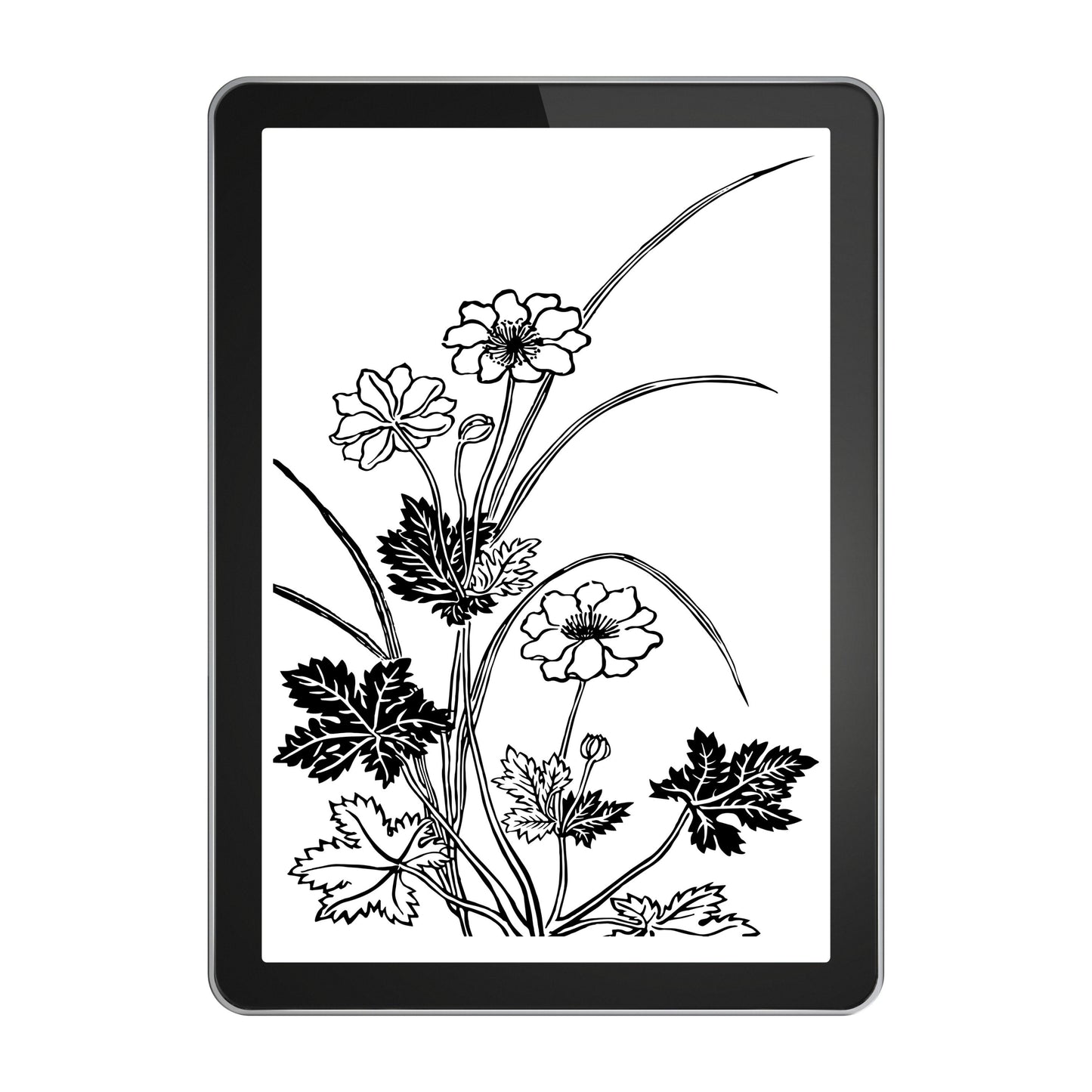 62 Sketching Brushes for Procreate