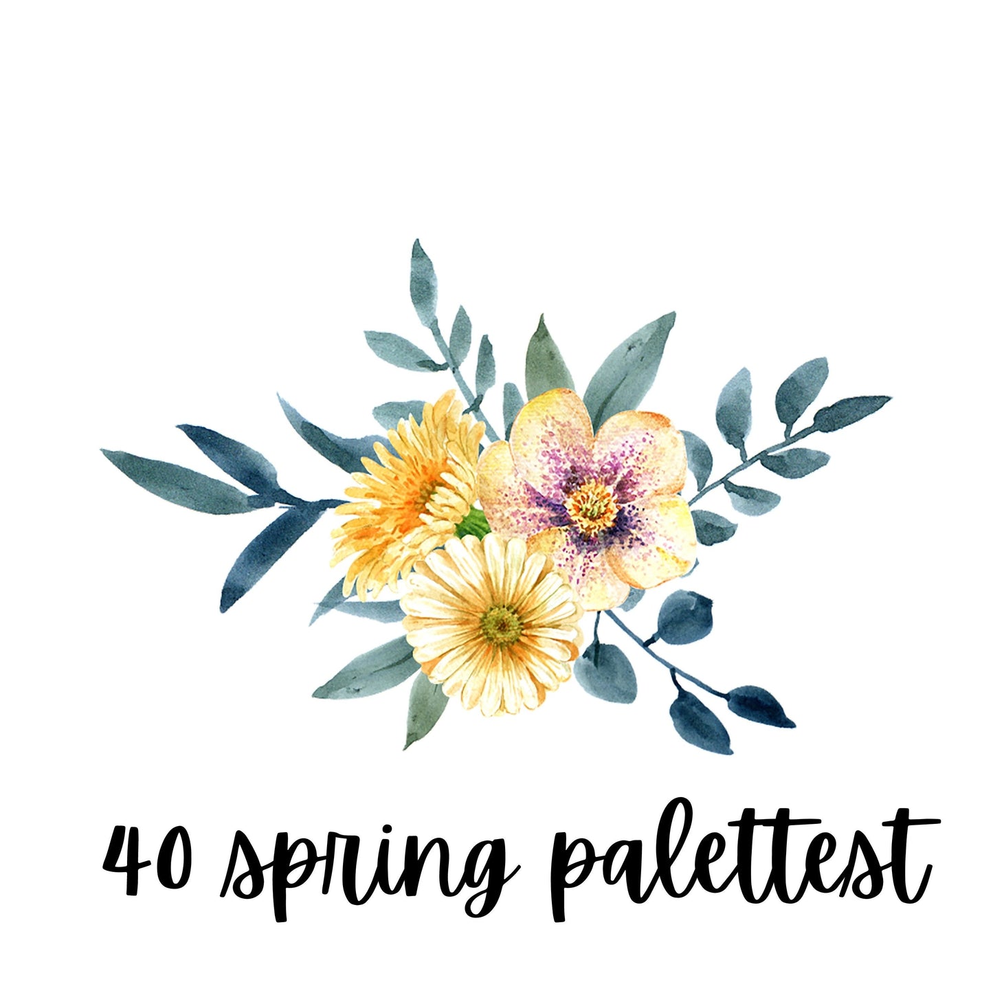 200 Procreate Palettes 6000 Color Swatches