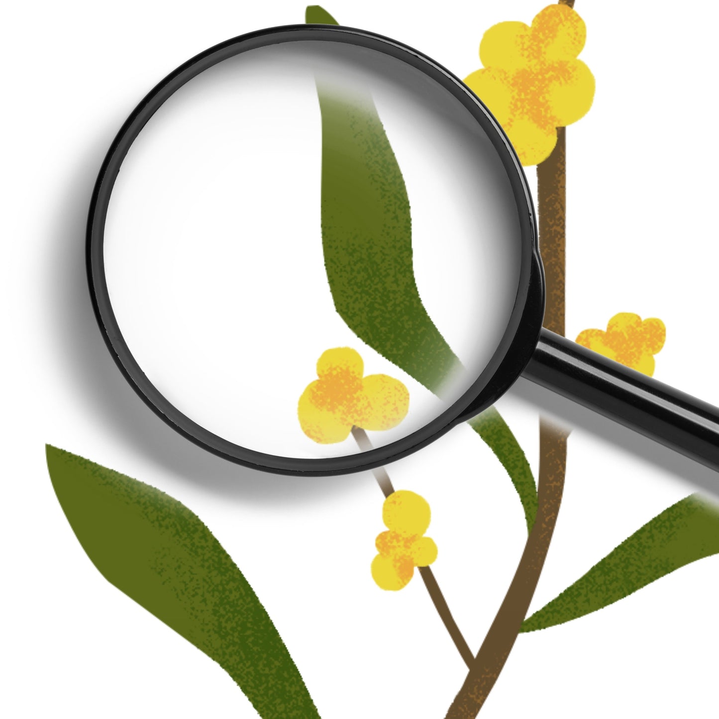 44 Procreate Texture Brushes