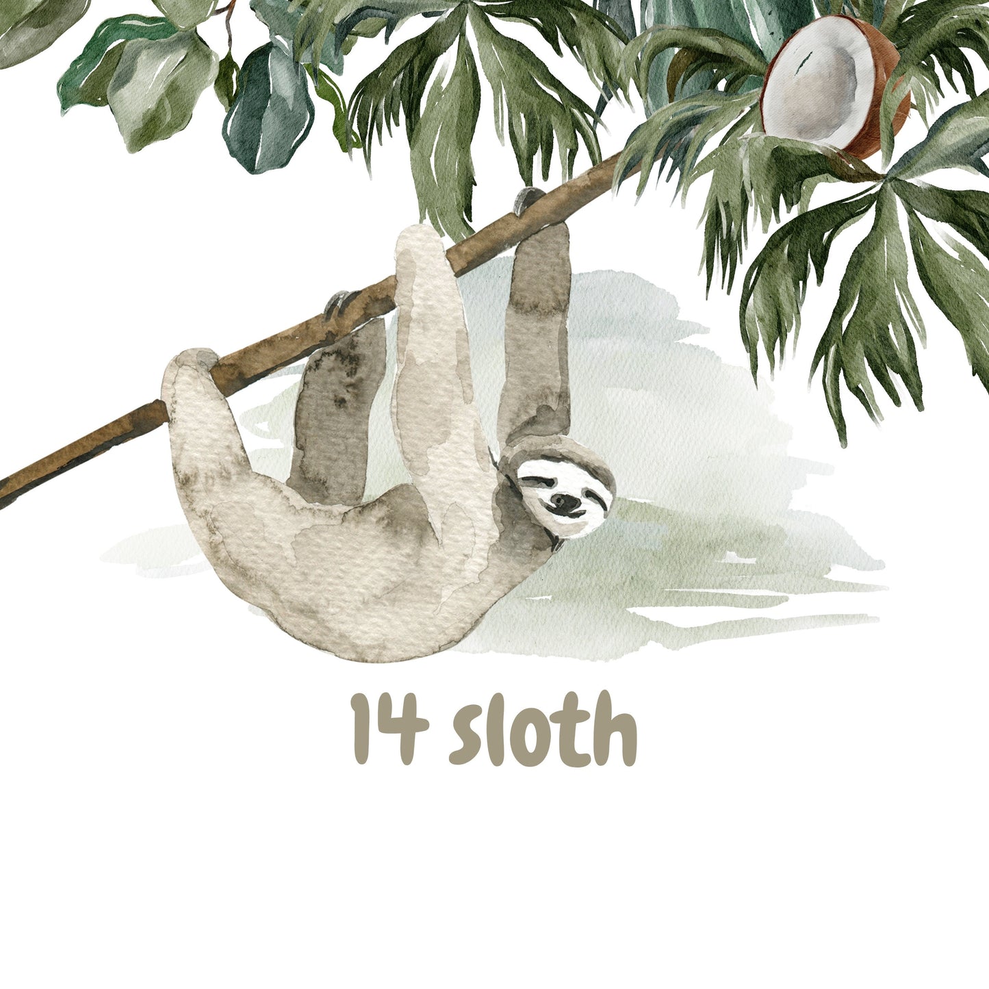 728 Jungle Animal Procreate Bundle