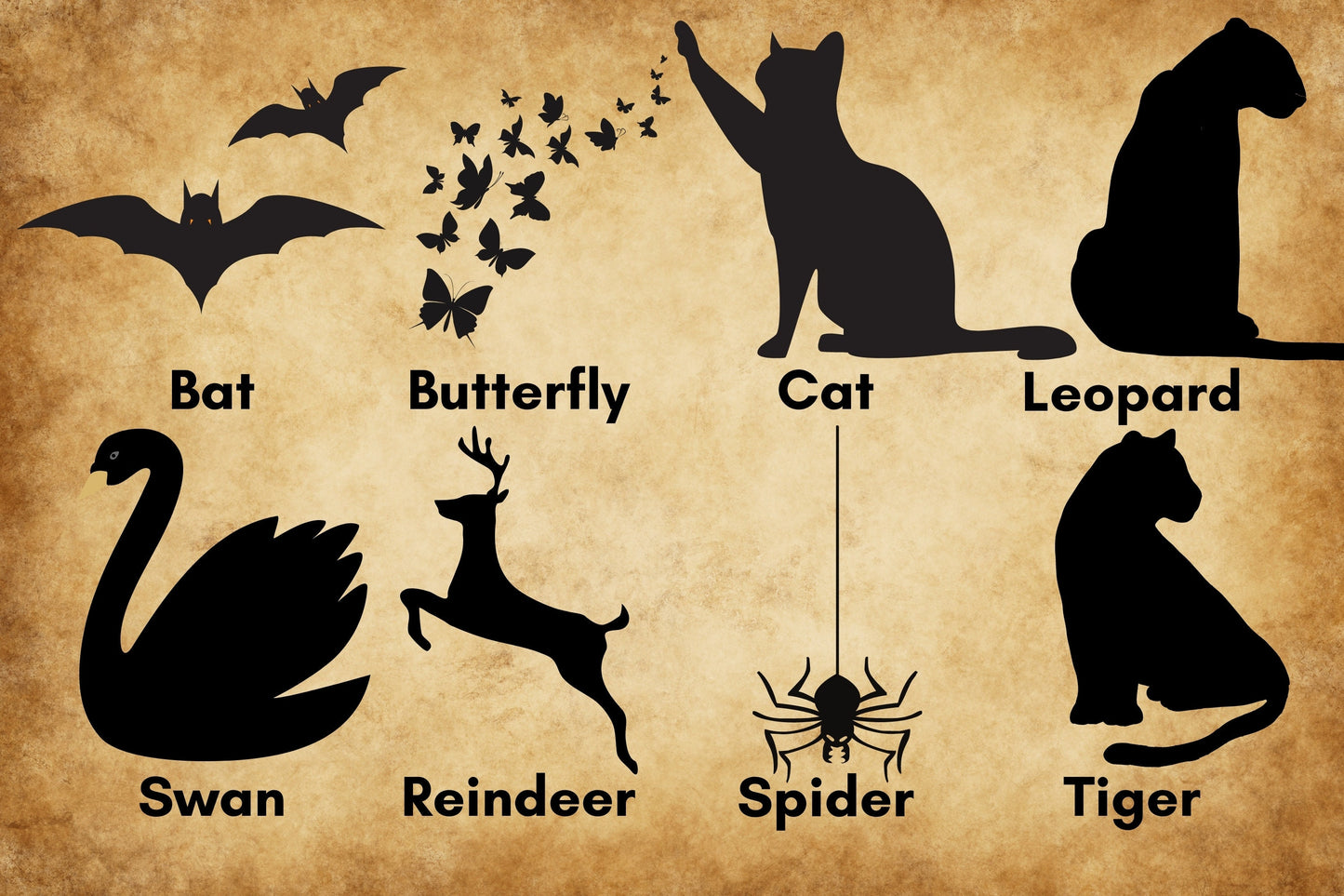 Cutout Animal Procreate Bundle