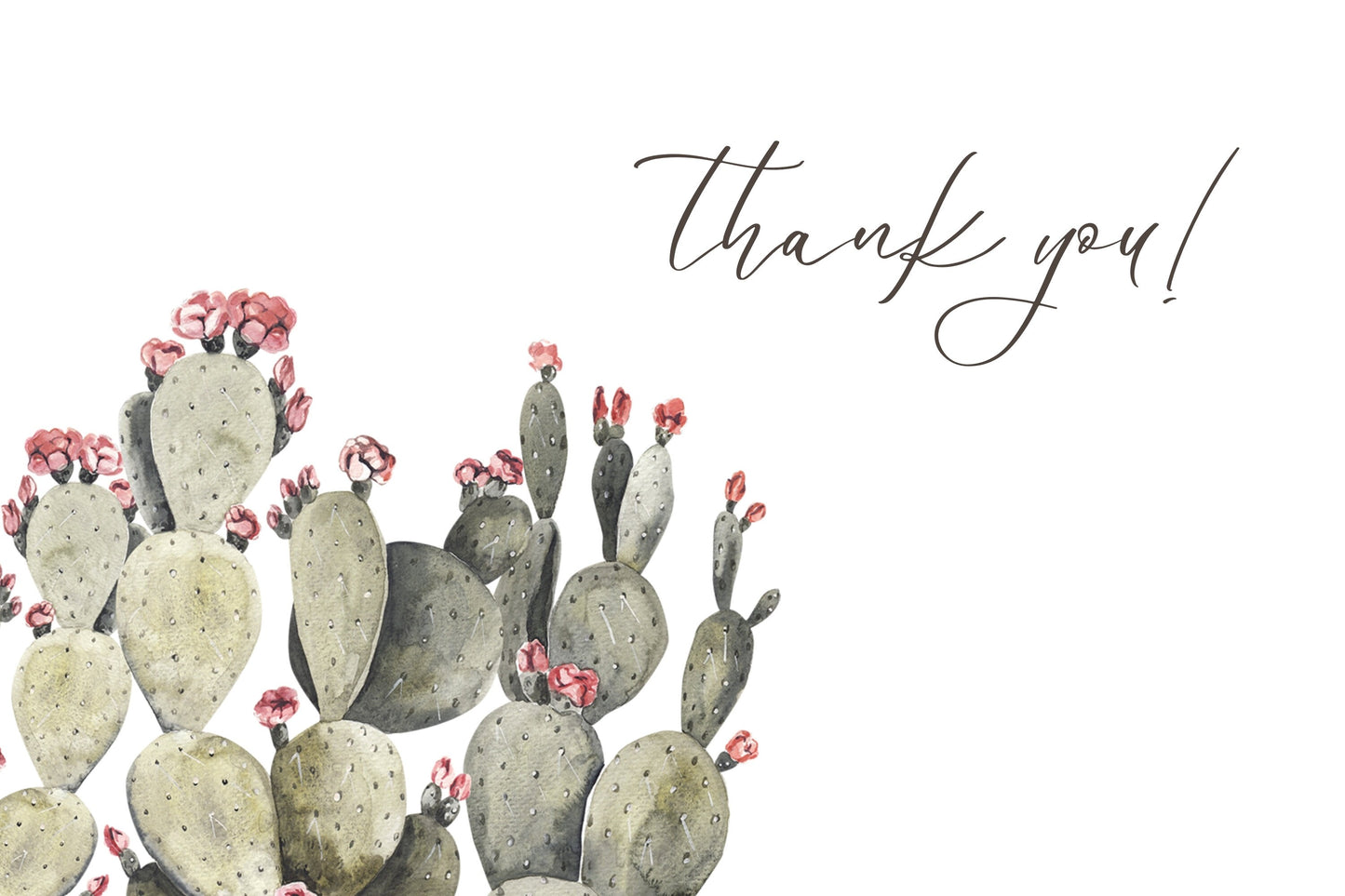 3000+ Plant Procreate Bundle