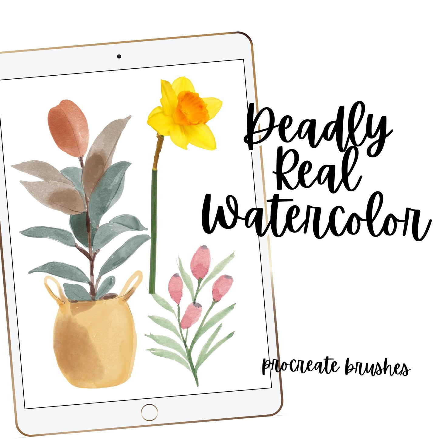 755 Best Selling Oil Acrylic Watercolor Gouache Brushes for Procreate.