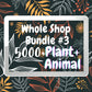 5000+ Procreate Animal Plant Bundle